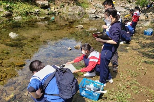Students are obtaining samples for investigation in the freshwater stream 