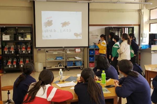 Students are presenting their investigation results in class to showcase their findings 